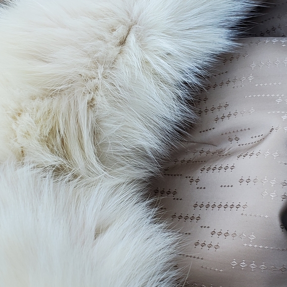 Full Length Blush Mink Coat by Edd Jacobs, Somper - Picture 8 of 8